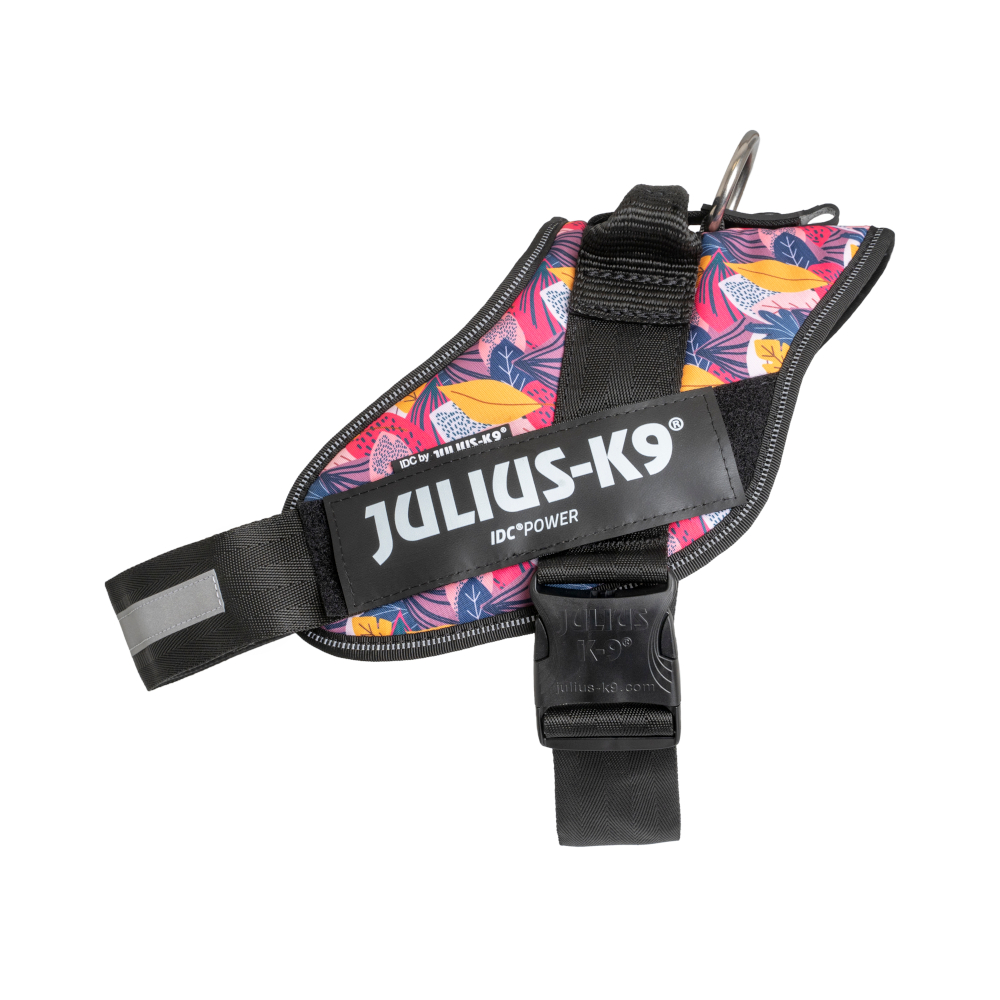 Julius-K9 IDC® Limited Edition Powerharness