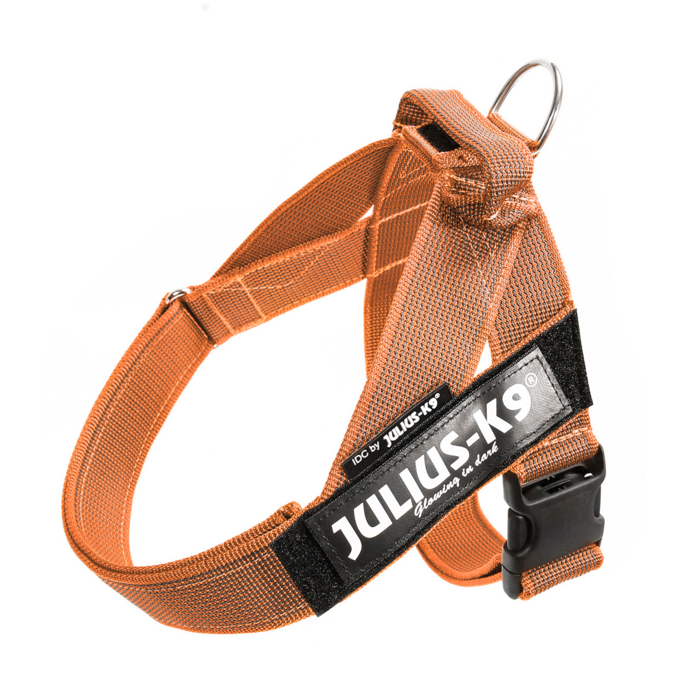 Julius-K9 IDC® Color & Gray postroj