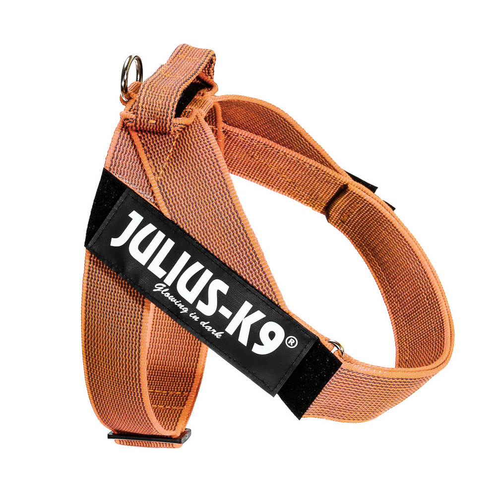 Julius-K9 IDC® Color & Gray postroj