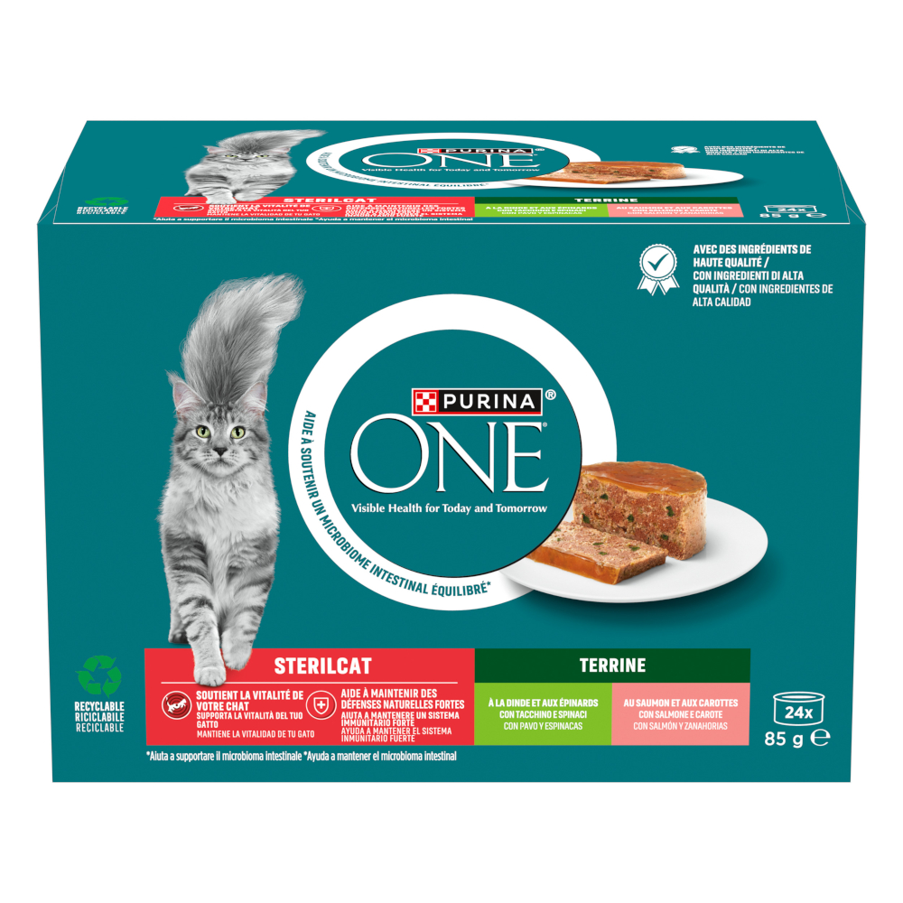 PURINA ONE SterilCat - výhodné balení: mix I (v želé) - 48 x 85 g