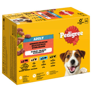 Pedigree Adult kapsičky multibalení - výhodné balení: výběr v želé (4 varianty) 96 x 100 g