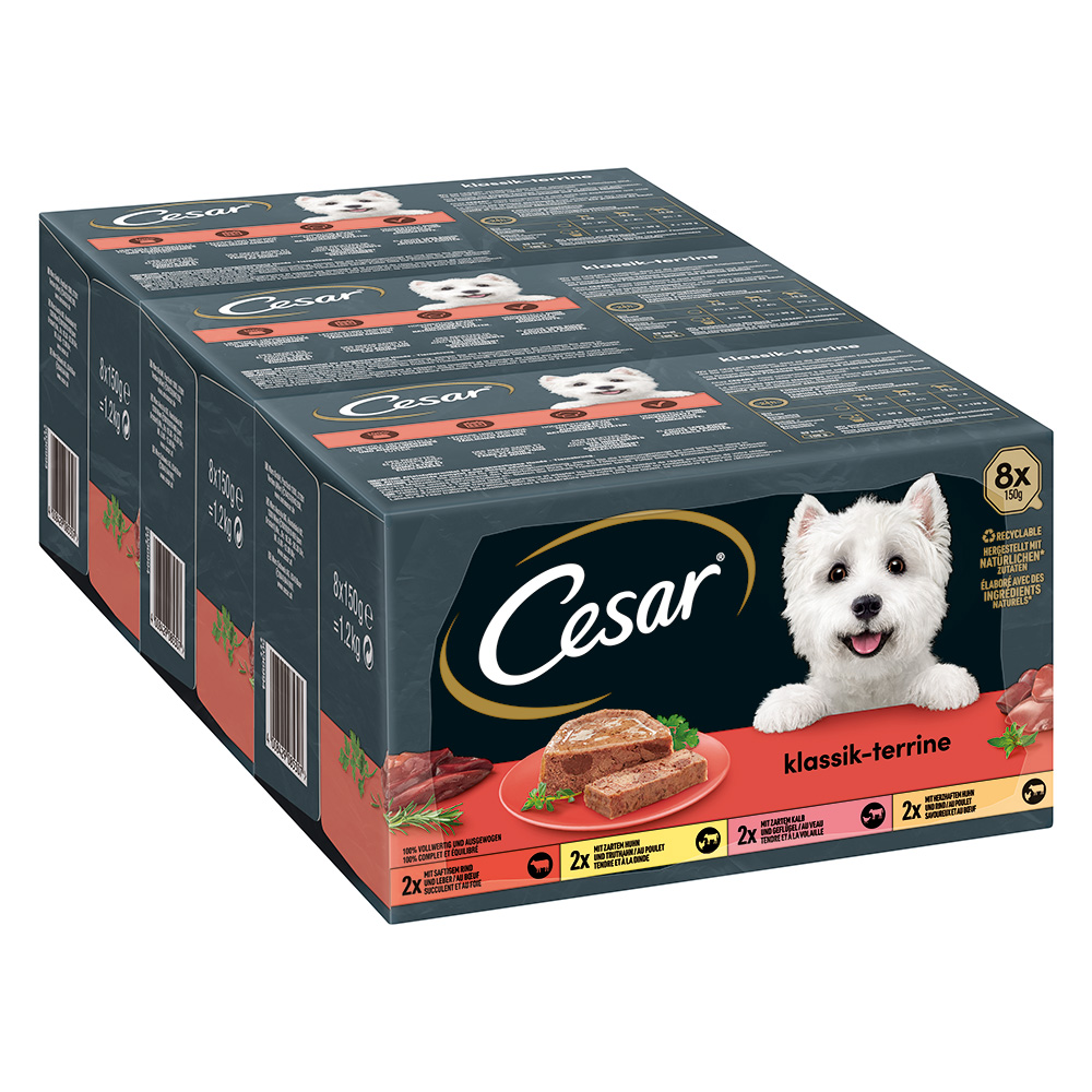 Cesar Classic Selection míchané balení - Classic Terrine (96 x 150 g)