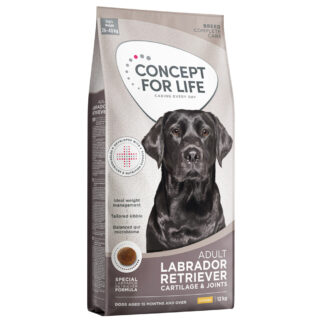 Concept for Life Labrador Retriever Adult - novinka: výhodné balení 2 x 12 kg