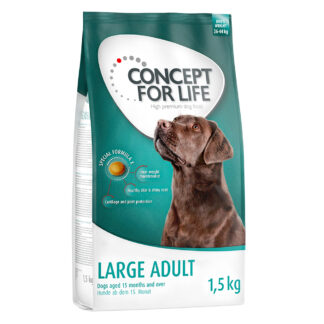 Concept for Life Large Adult - 4 x 1