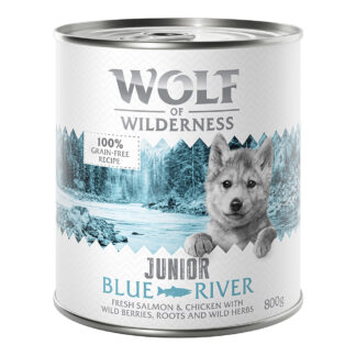 Výhodné balení: Little Wolf of Wilderness Junior 12 x 800 g - Blue River - kuřecí a losos