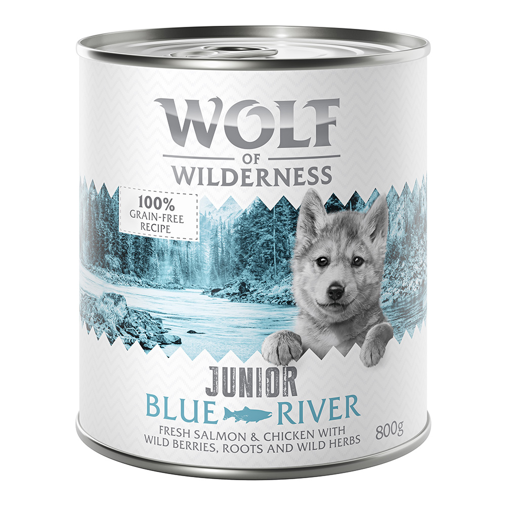 Výhodné balení: Little Wolf of Wilderness Junior 12 x 800 g - Blue River - kuřecí a losos
