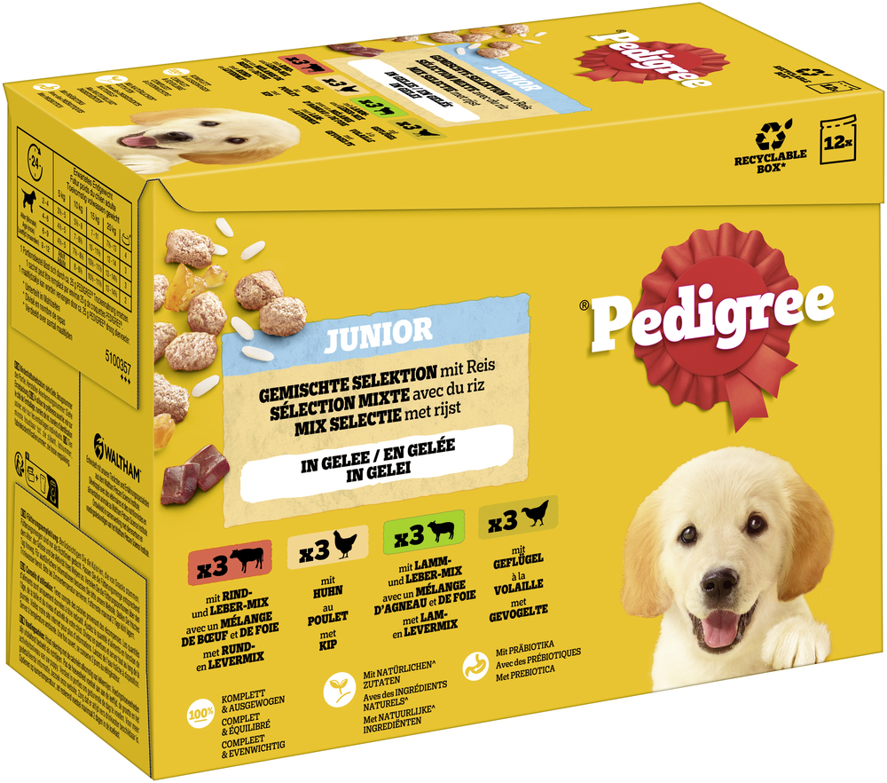 Pedigree Junior Multipack kapsičky - 96 x 100 g míchaný výběr v želé (4 druhy)