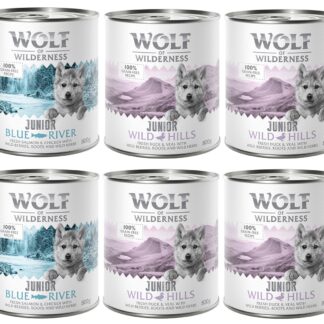 6 x 800 g míchaná balení - Wolf of Wilderness - 6 x 800 g: 4x kachní & telecí