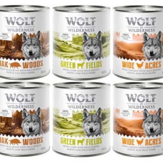 6 x 800 g míchaná balení - Wolf of Wilderness - 6 x 800 g: divočák