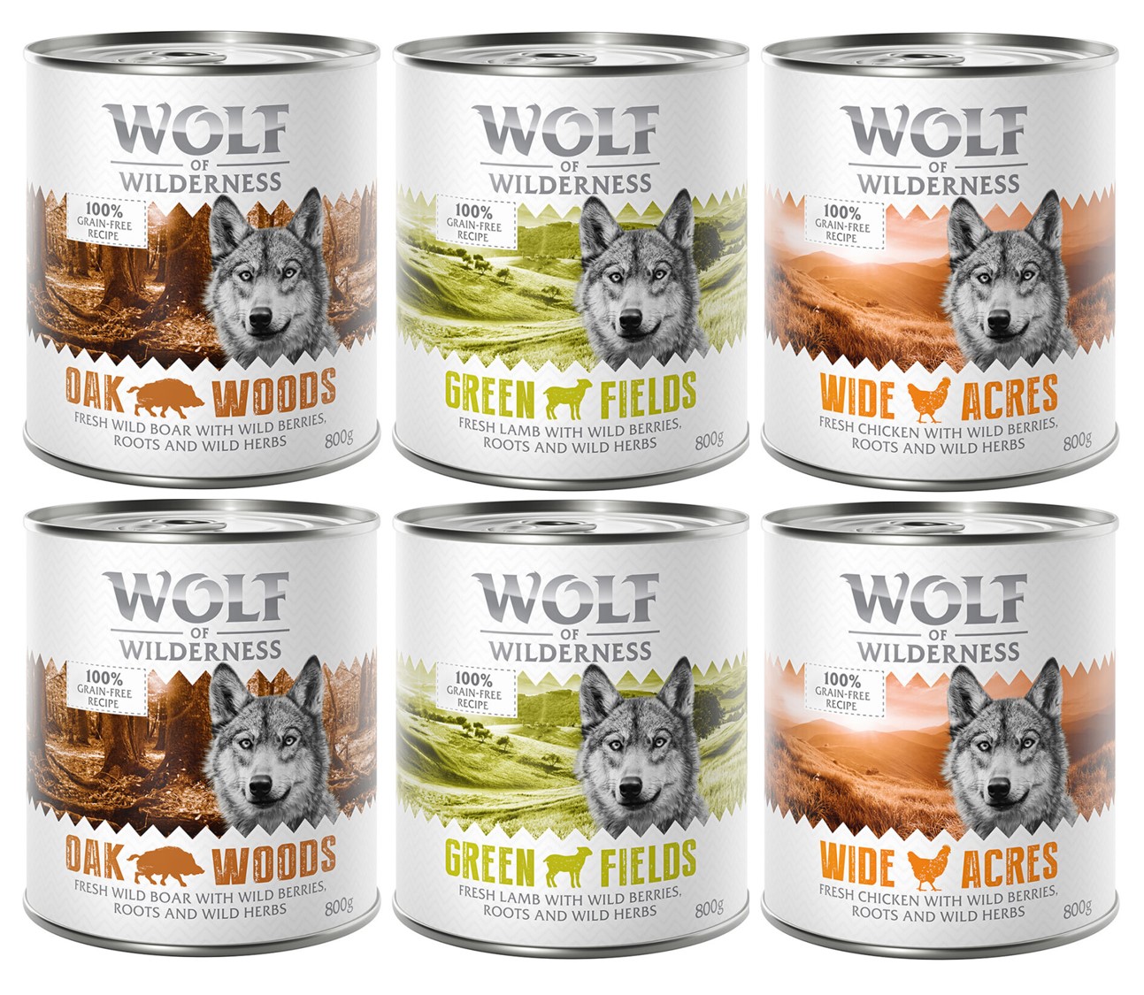 6 x 800 g míchaná balení - Wolf of Wilderness - 6 x 800 g: divočák