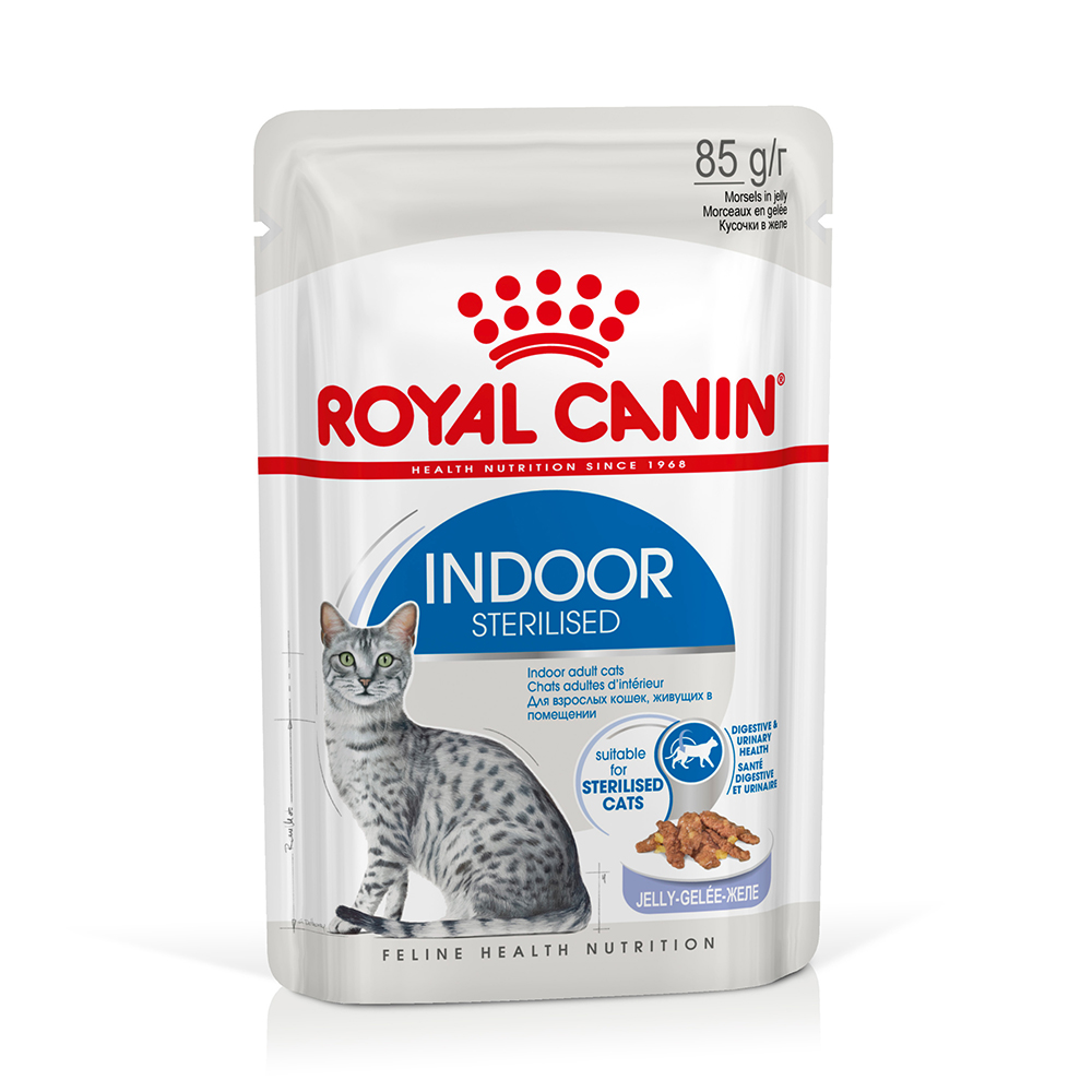 Royal Canin Indoor Sterilised v želé - 24 x 85 g