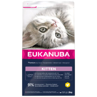 Eukanuba Healthy Start Kitten - Výhodné balení: 3 x 2 kg