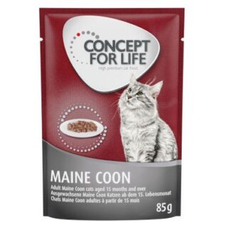 Concept for Life Maine Coon Adult (ragú) - 48 x 85 g