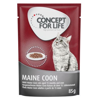 Concept for Life Maine Coon Adult (ragú) - 48 x 85 g