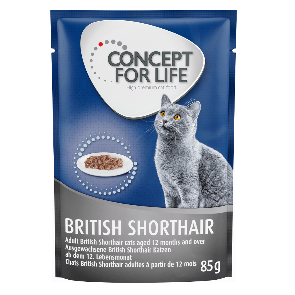 Concept for Life British Shorthair Adult (kvalita ragú) - 48 x 85 g