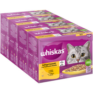 Megabalení Whiskas Senior kapsičky 48 x 85 g - 11+ drůbeží výběr v želé (85 g)