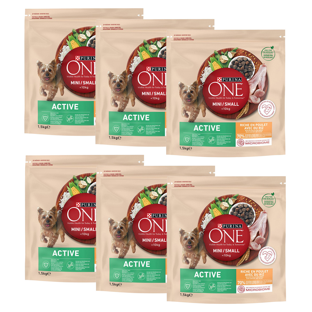 PURINA ONE Mini Active Chicken & Rice - 18 kg (12 x 1