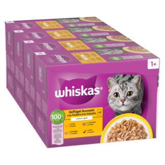 Whiskas 1+ Adult kapsičky 48 x 85 g - drůbeží výběr v želé (48 x 85 g)