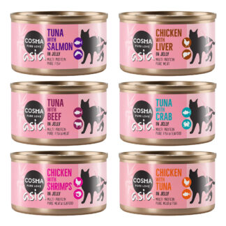 Výhodné balení Cosma Asia v želé 4 x 6 ks (24 x 85 g) - míchané balení