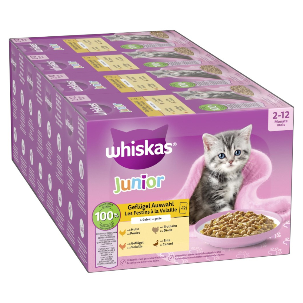 Megapack Whiskas Junior kapsičky 48 x 85 g - drůbeží výběr v želé (85 g)