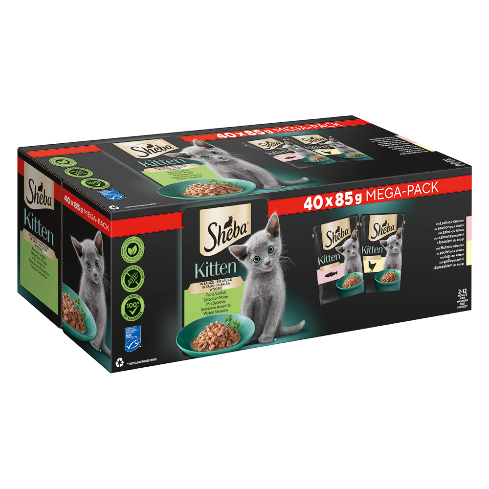 Sheba Kitten variace kapsiček výhodné balení 80 × 85 g - Jemná rozmanitost v omáčce (losos