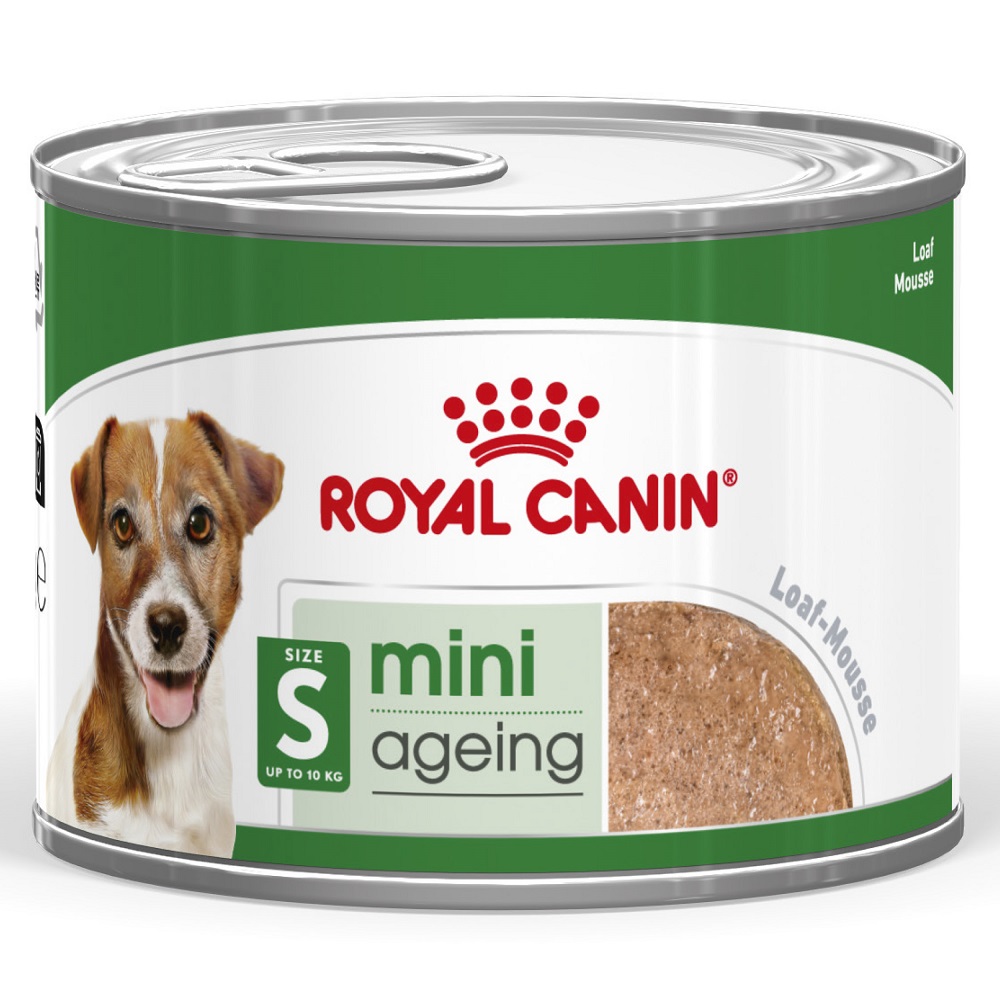 Royal Canin Mini Ageing Mousse - výhodné balení: 24 x 195 g