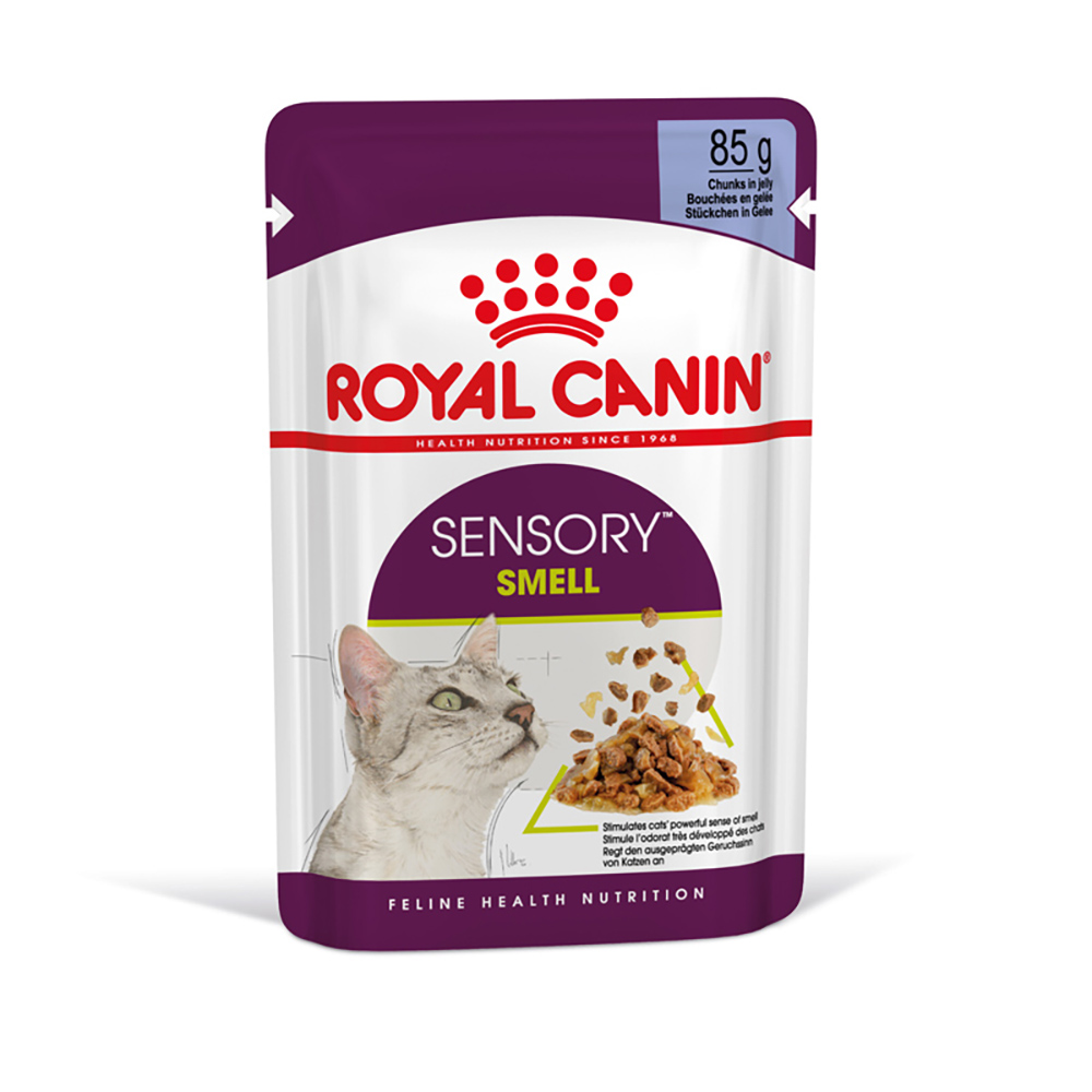 Royal Canin Sensory Smell v želé - výhodné balení: 48 x 85 g