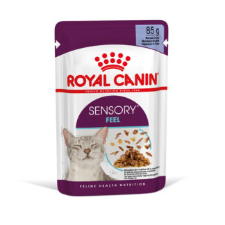 Royal Canin Sensory Feel v želé - výhodné balení: 48 × 85 g