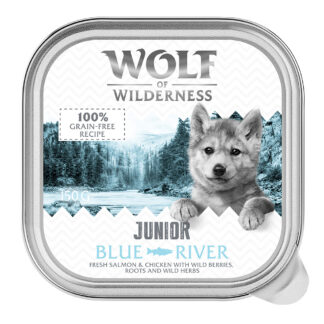 Wolf of Wilderness JUNIOR - Duo proteinová receptura 6 / 24 x 150 g miska - 24 ks (24 x 150 g) Blue River - kuře a losos